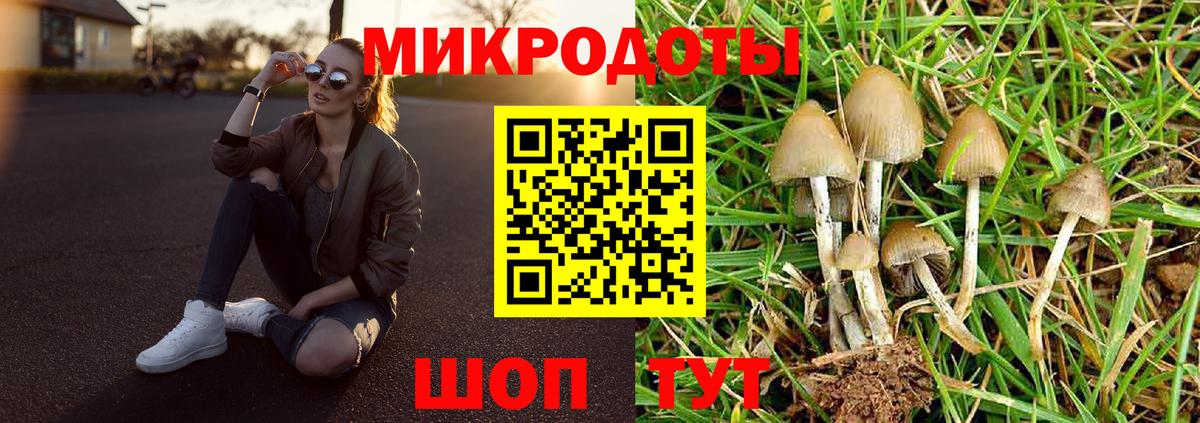 Зеленокумск  Галлюциногенные грибы прущие грибы  Галлюциногенные грибы MAGIC MUSHROOMS  Вход с VPN 