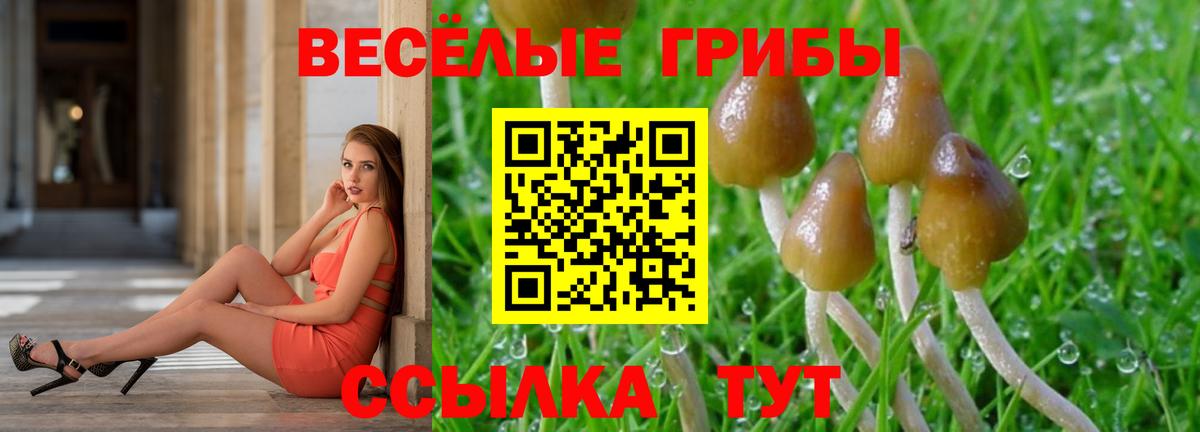 Псилоцибиновые грибы Psilocybe Зеленокумск